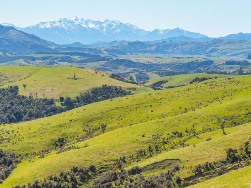 1246-leader-road-west-waiau