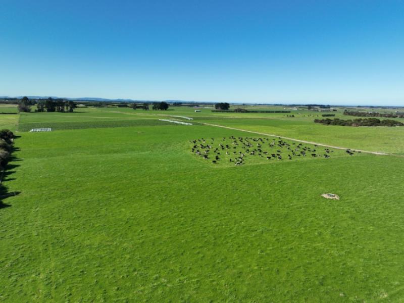 792-rimu-road-farm-4--longbush