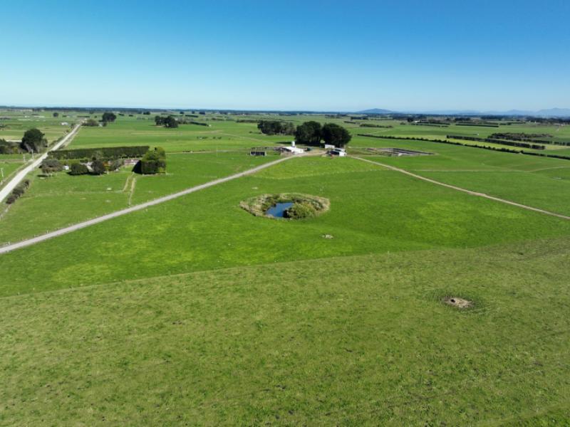 792-rimu-road-farm-4--longbush