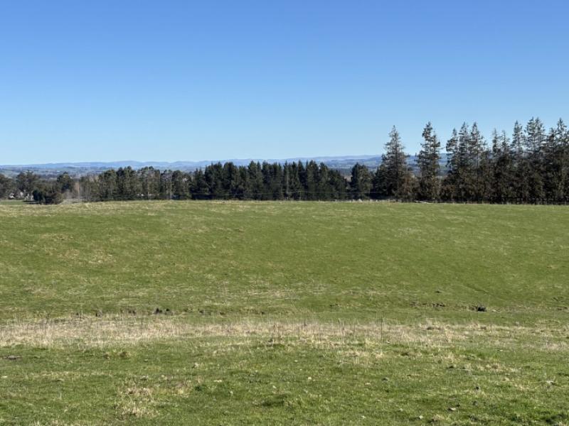 waihola-highway-milburn