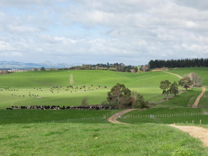 2048-state-highway-50-ongaonga