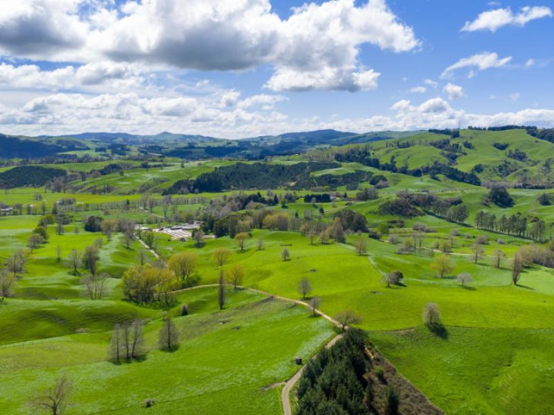 4/366-karapiro-road-karapiro