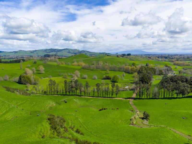 4/366-karapiro-road-karapiro