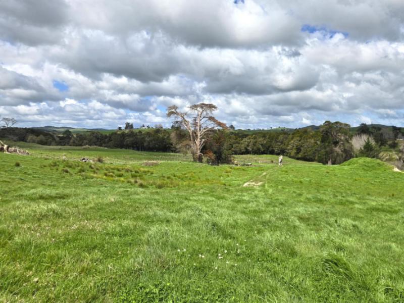 42-ford-road-paparoa