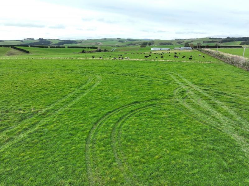 289-woodslea-downs-road-pine-bush