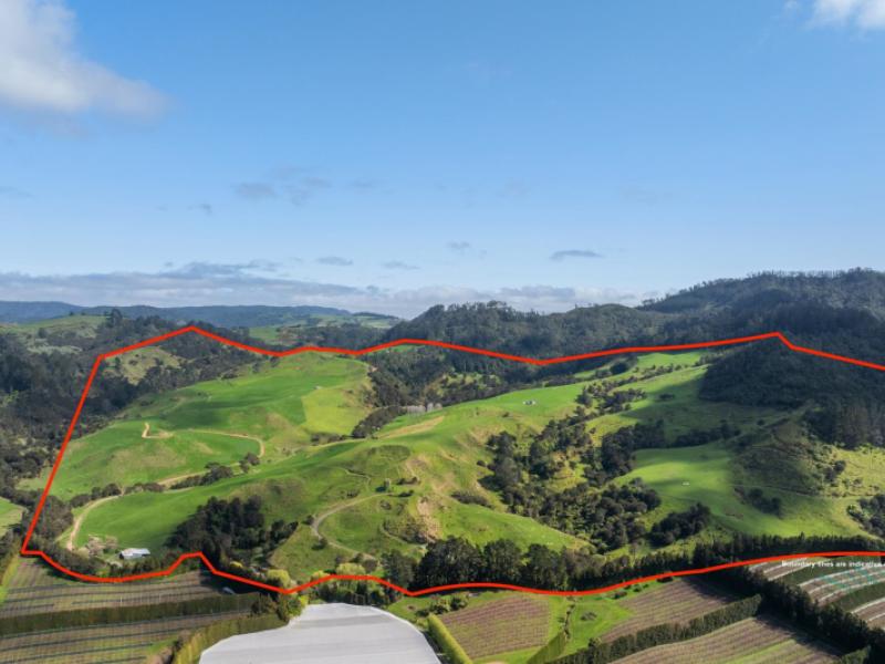 35-canon-road-katikati