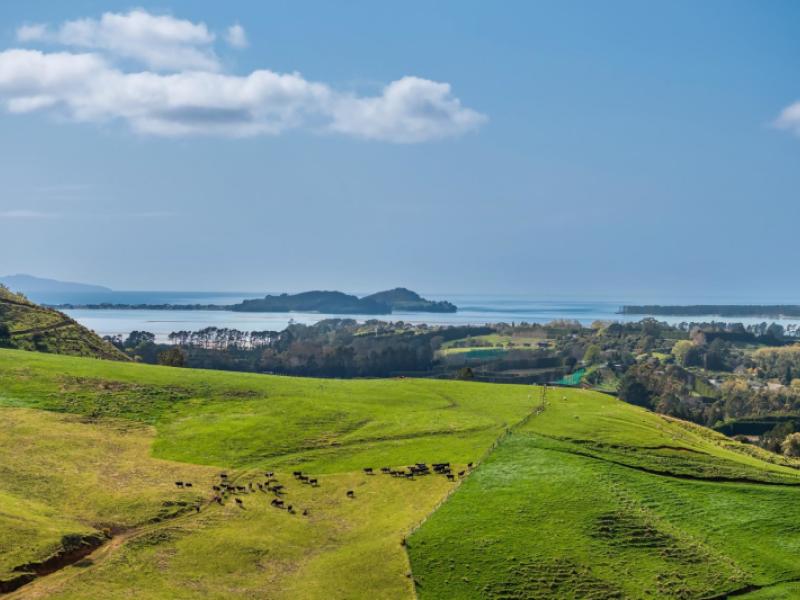 35-canon-road-katikati