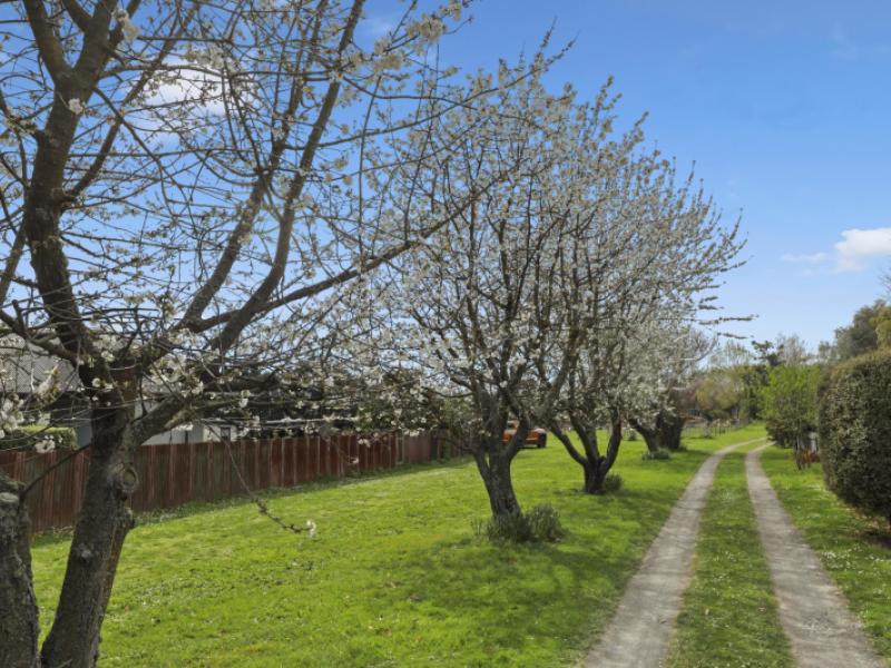 12-hammerichs-road-rapaura