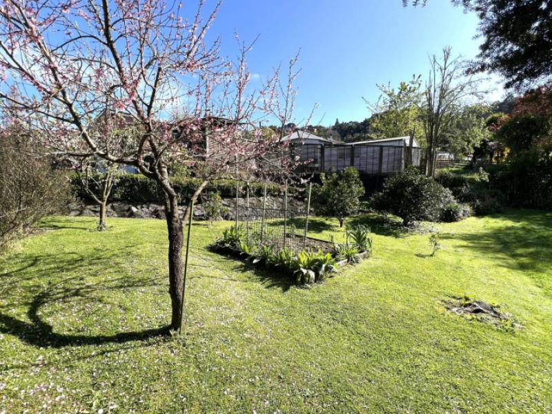 10-mangarino-street-te-kuiti