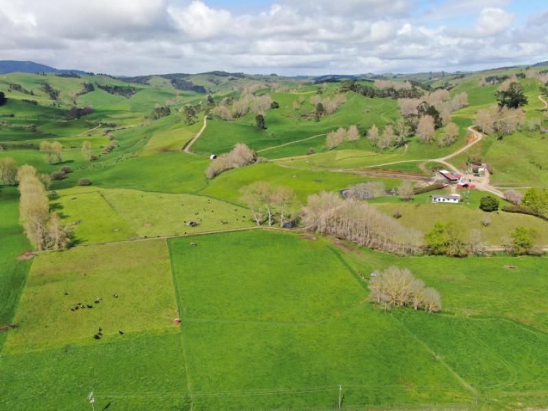 126-tauraroa-valley-road-otorohanga