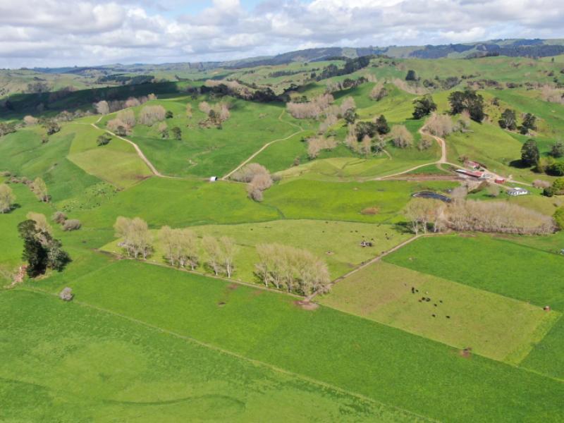 126-tauraroa-valley-road-otorohanga
