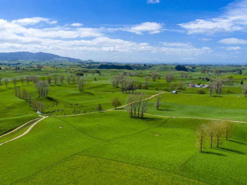 318-aotearoa-road-wharepapa-south