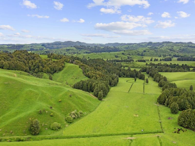 878-mokauiti-road-aria