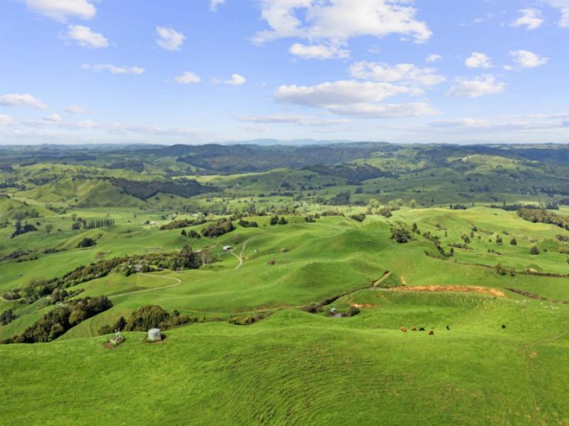878-mokauiti-road-aria