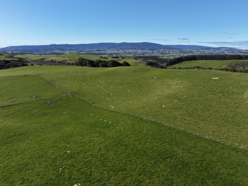 725-grove-burn-road-tuatapere