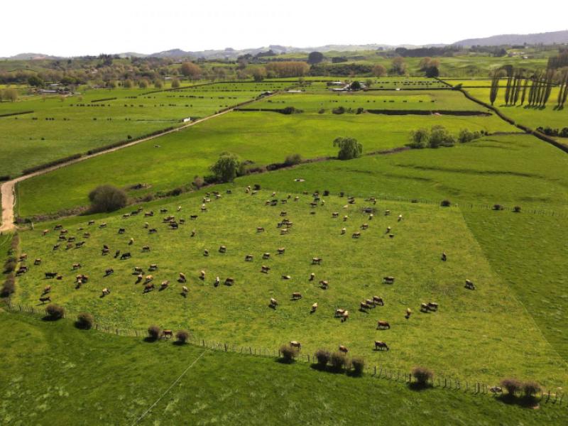 5325a-state-highway-29-matamata