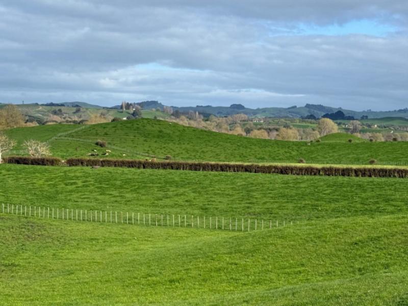 5325a-state-highway-29-matamata