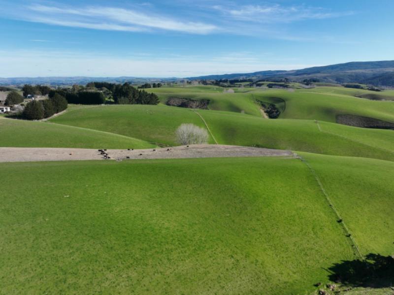 1628-tuapeka-west-road-and-275-bush-road-tuapeka-west