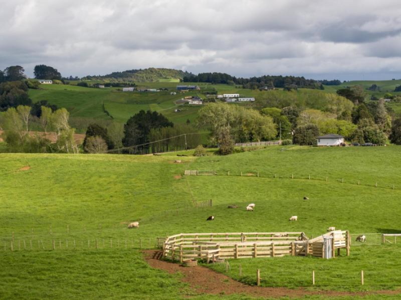 697-maungatawhiri-road-raglan