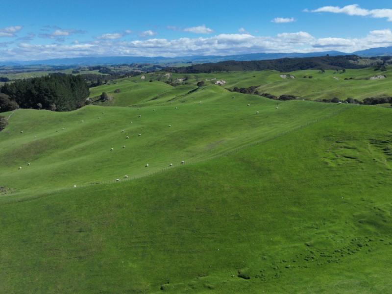 2829-puketitiri-road-rissington