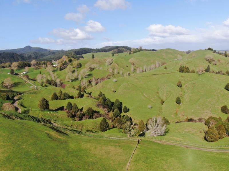 1891-ohura-mokau-road-piopio