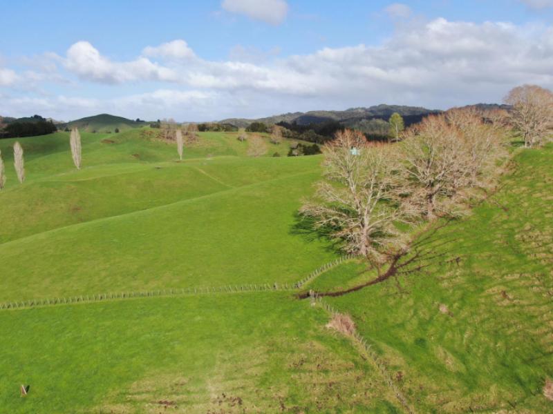 1891-ohura-mokau-road-piopio