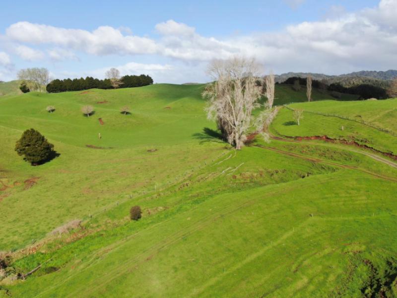 1891-ohura-mokau-road-piopio
