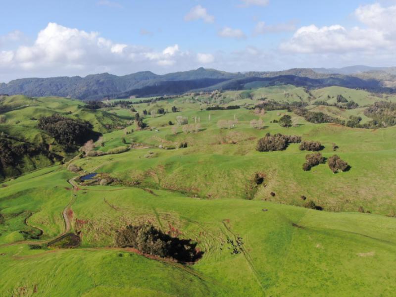 1891-ohura-mokau-road-piopio