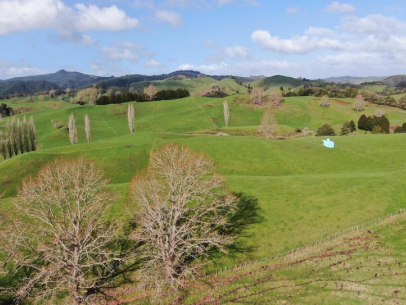 1891-ohura-mokau-road-piopio