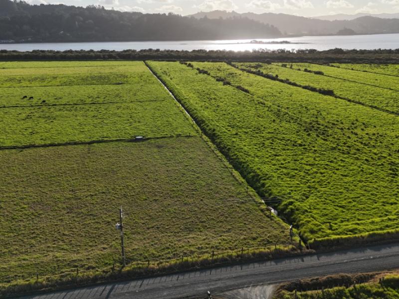 lot-30-motukiore-road-horeke