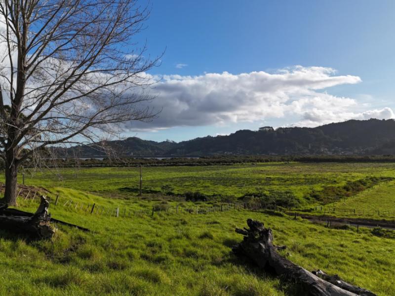lot-1-motukiore-road-horeke