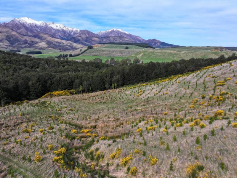 3730b-blackmount-redcliff-road-blackmount