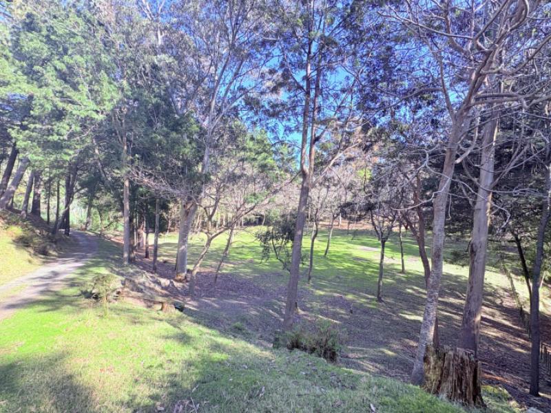 1793-mohaka-coach-road-mohaka