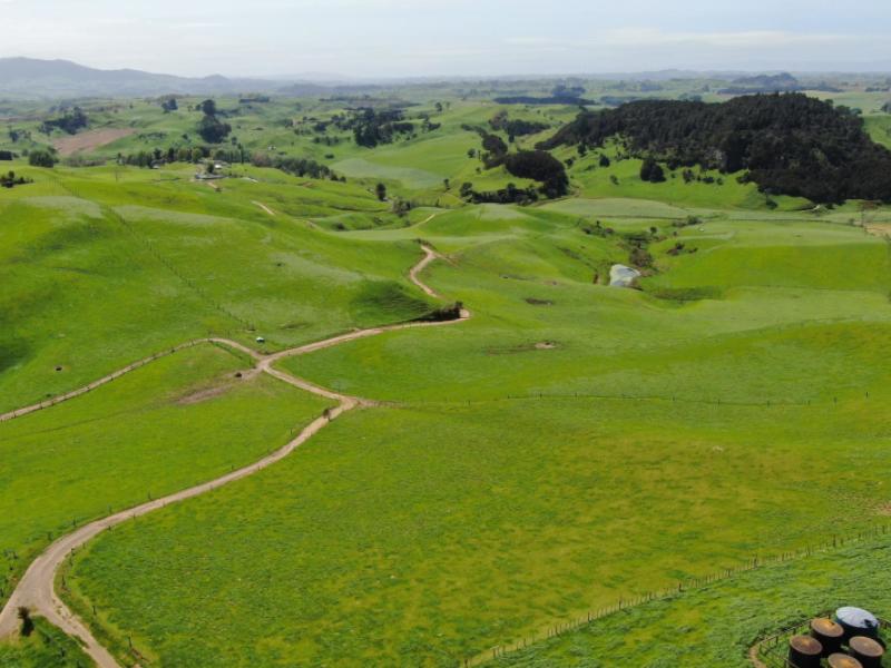 782-mangare-road-wharepapa-south