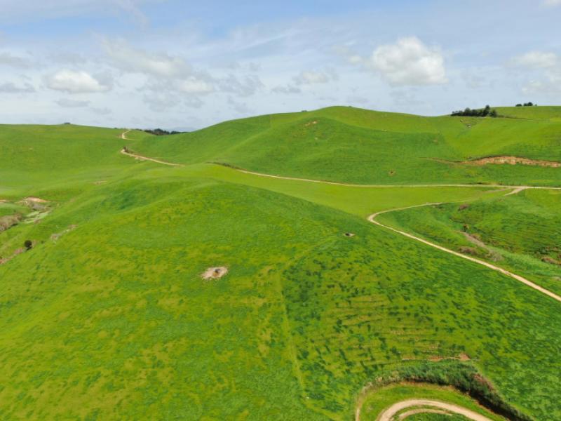 782-mangare-road-wharepapa-south
