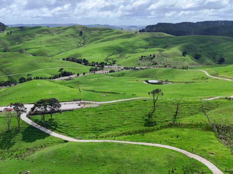 1158-burma-road-tapora