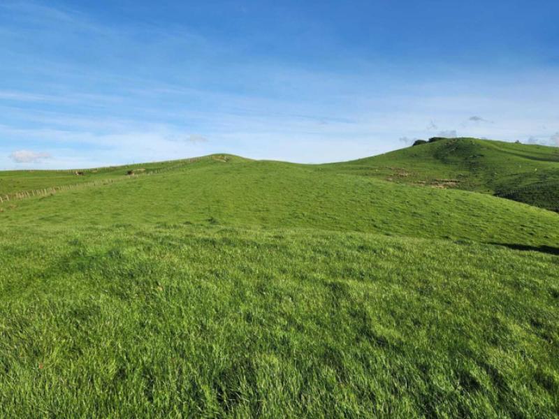 899-te-akau-road-te-akau