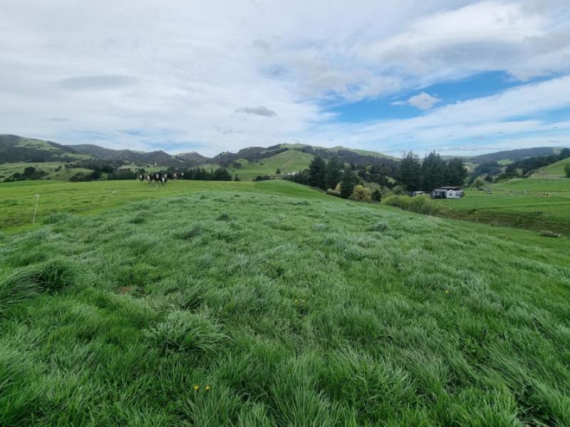 3345a-weber-road-dannevirke