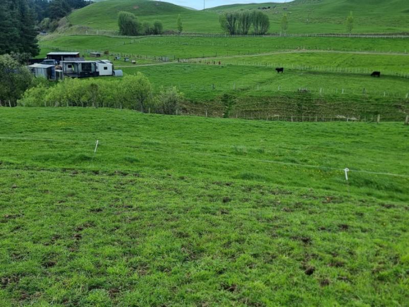 3345a-weber-road-dannevirke