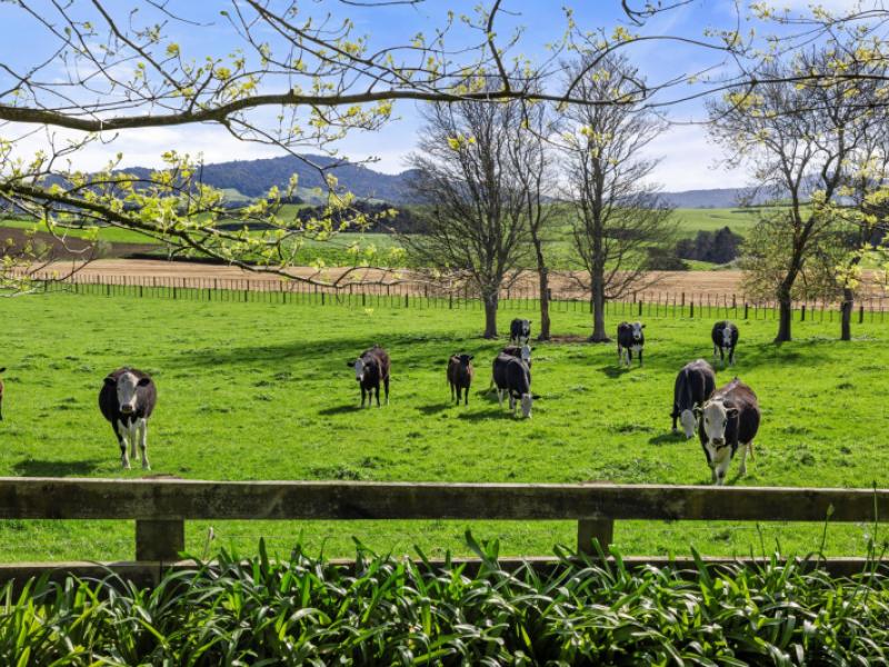 563b-matai-road-matamata