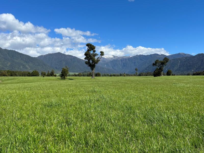 694-778-waitaha-road-kakapotahi