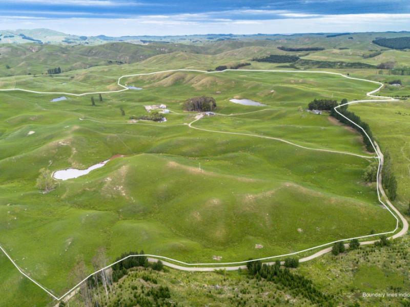 300-pattison-road-waipukurau