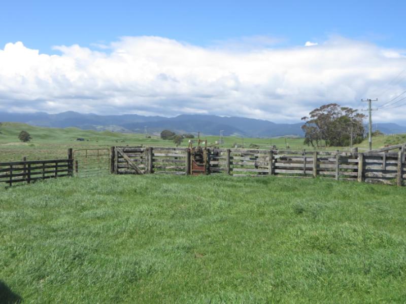 616-muhunoa-road-ohau