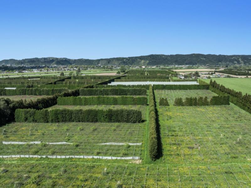 37-selwyn-road-poroporo