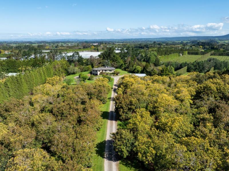 85-wharawhara-road-katikati