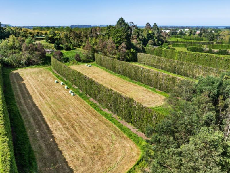 85-wharawhara-road-katikati