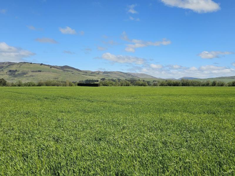 69-roche-road-mandeville