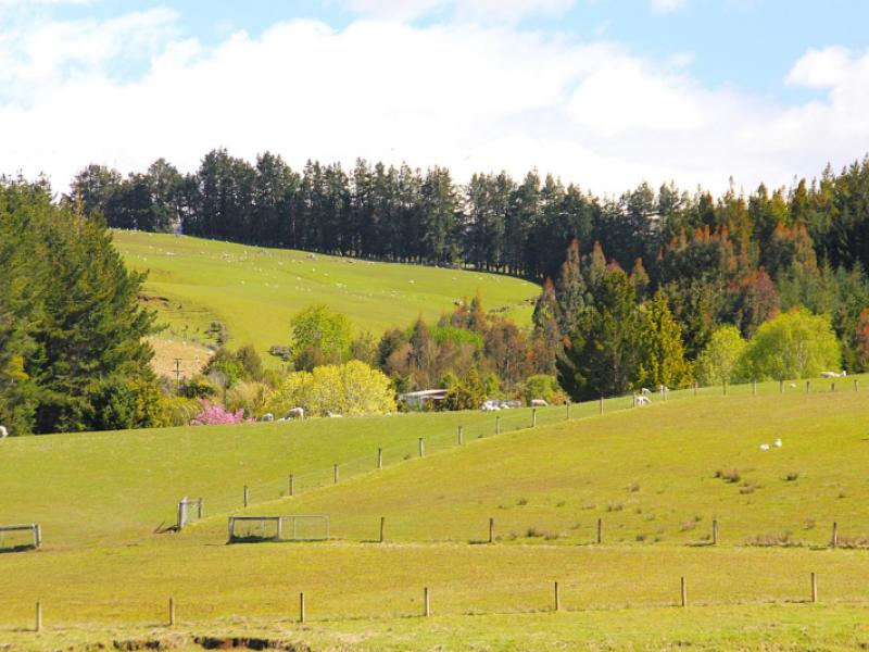 657-ramparts-road-te-anau