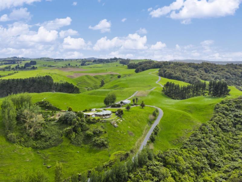 6-kentucky-road-karapiro