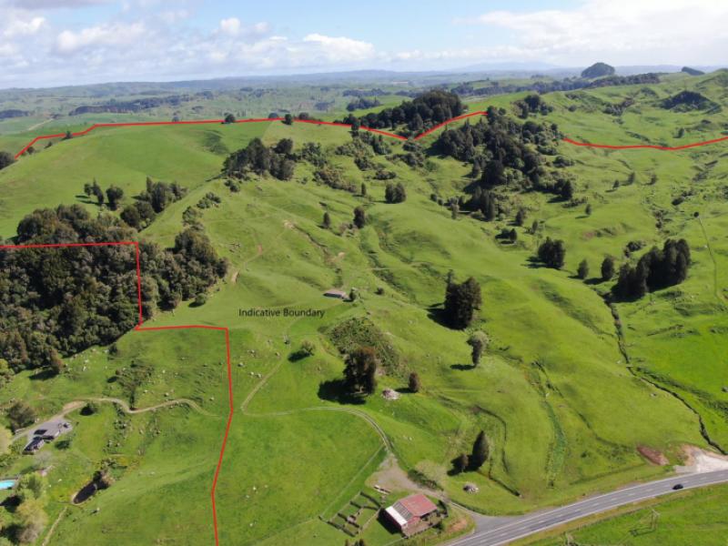 (rural)-1246-state-highway-3-piopio